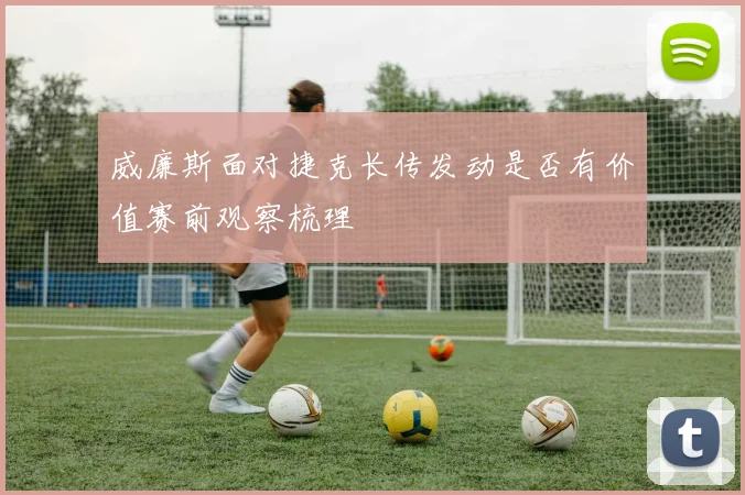 威廉斯面对捷克长传发动是否有价值赛前观察梳理