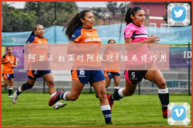 阿尔及利亚对阿根廷J组老将作用